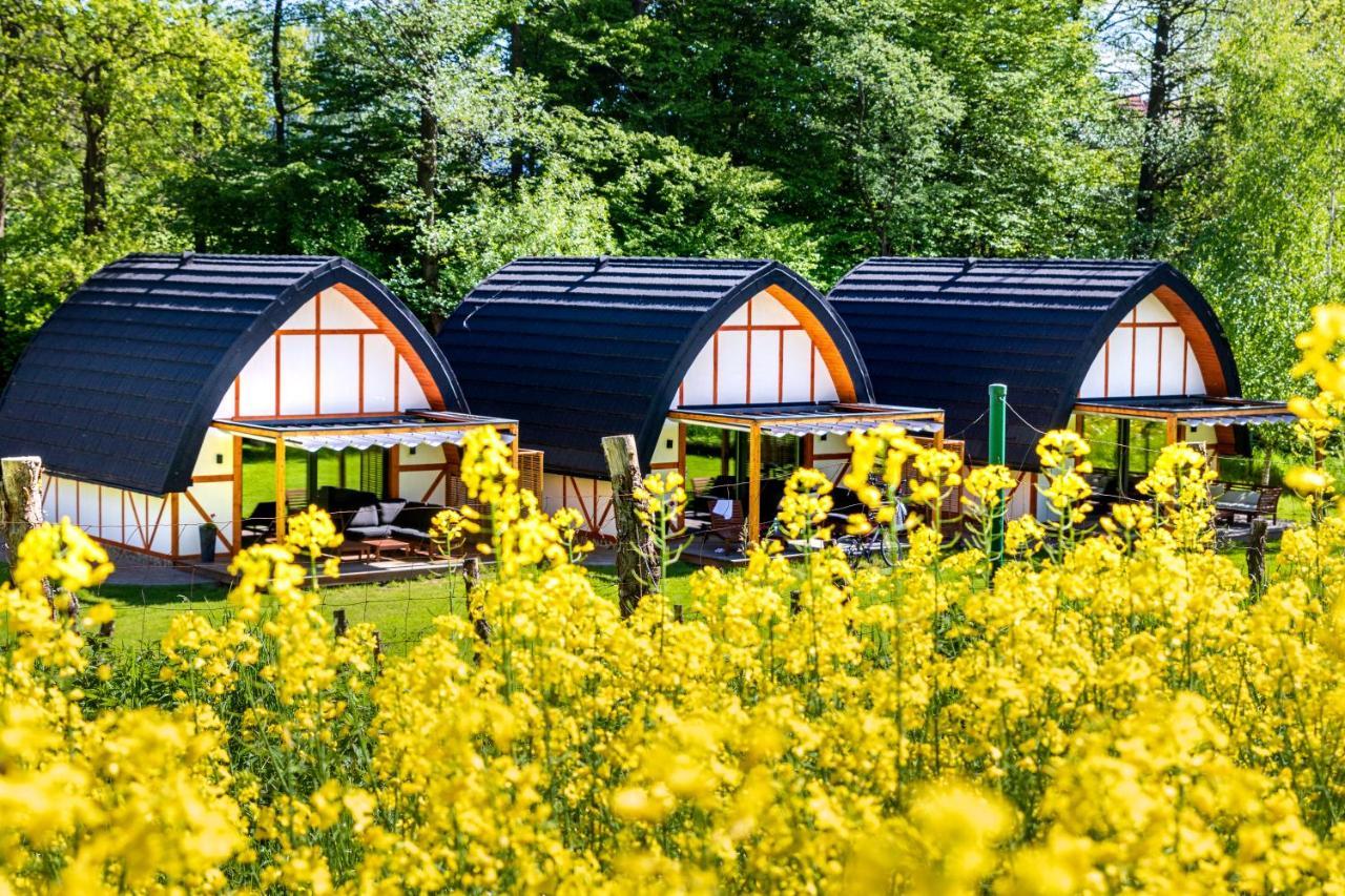 Sen I Wino, Domki Na Winnicy Ze Strefa Spa Żywiec Exterior foto