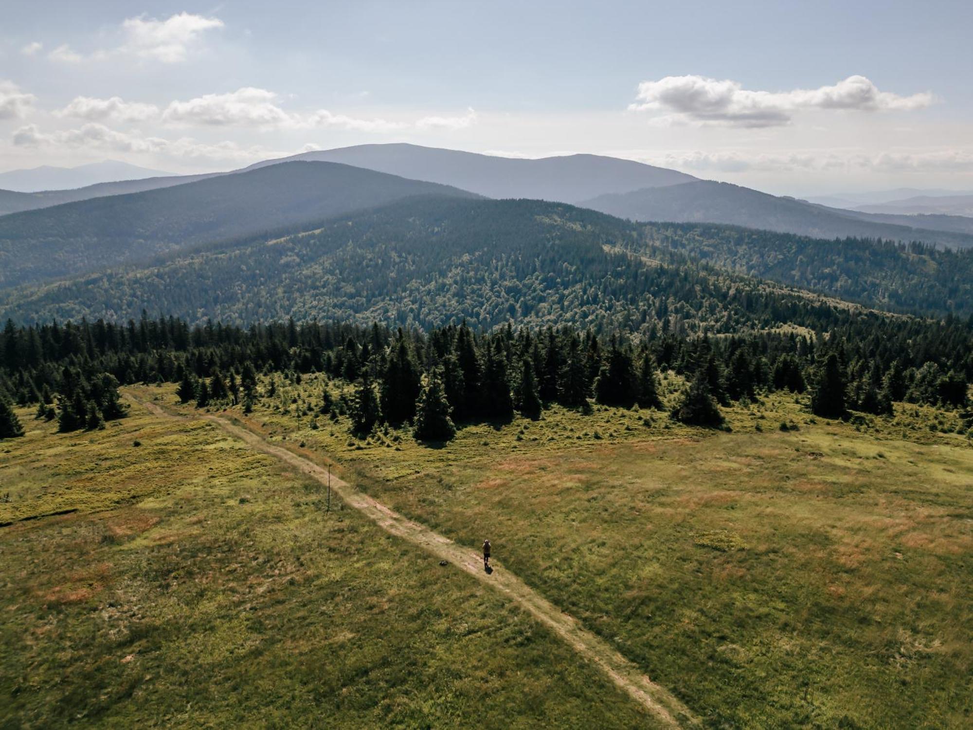 Sen I Wino, Domki Na Winnicy Ze Strefa Spa Żywiec Exterior foto