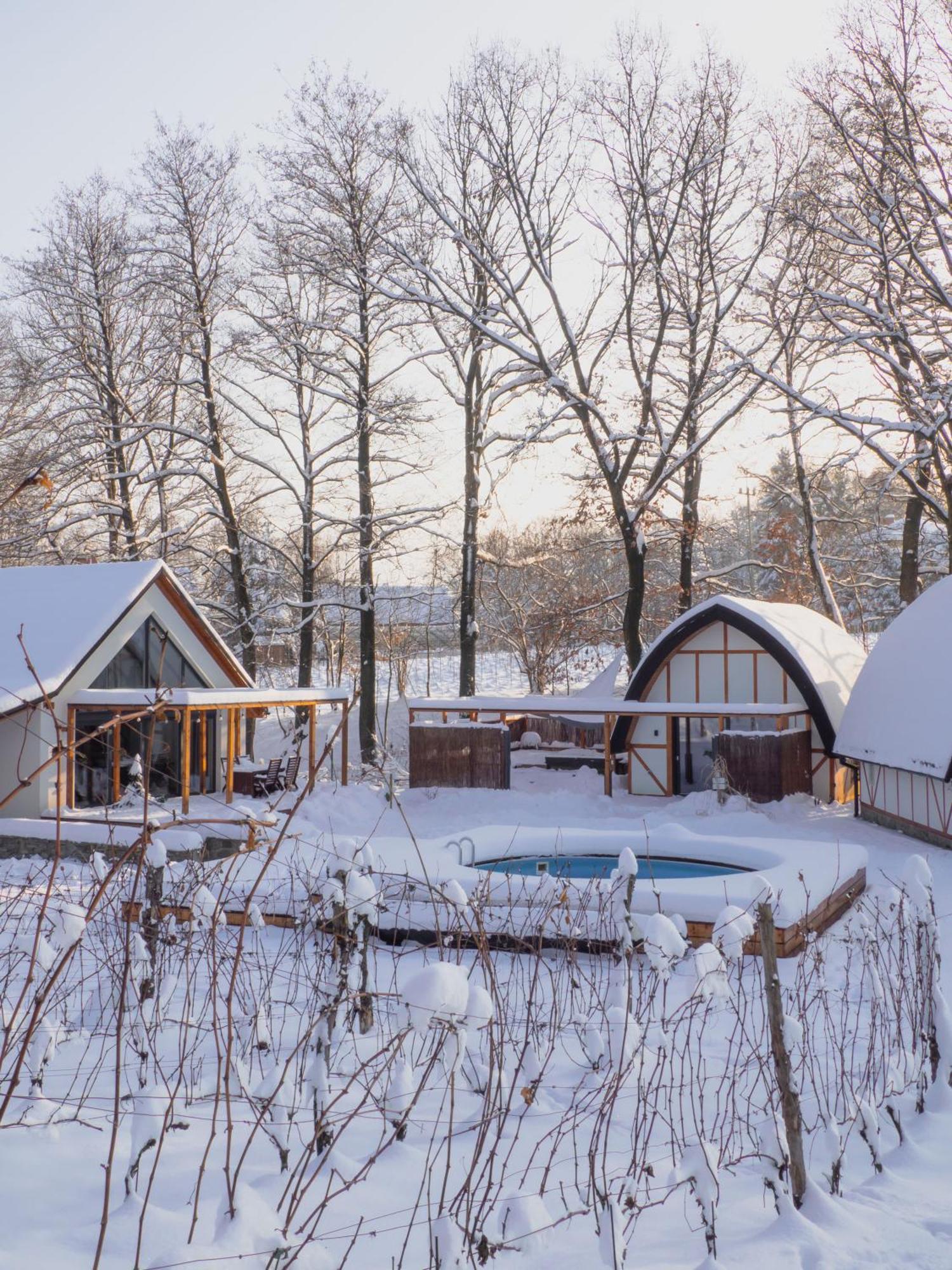 Sen I Wino, Domki Na Winnicy Ze Strefa Spa Żywiec Exterior foto