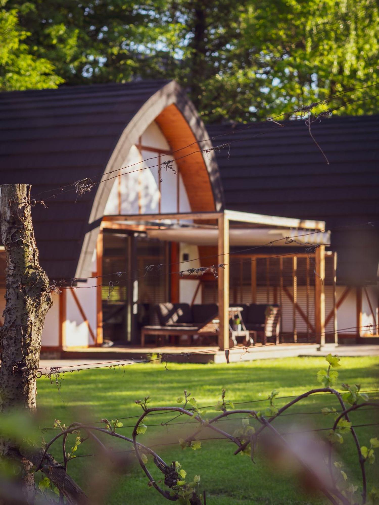 Sen I Wino, Domki Na Winnicy Ze Strefa Spa Żywiec Exterior foto